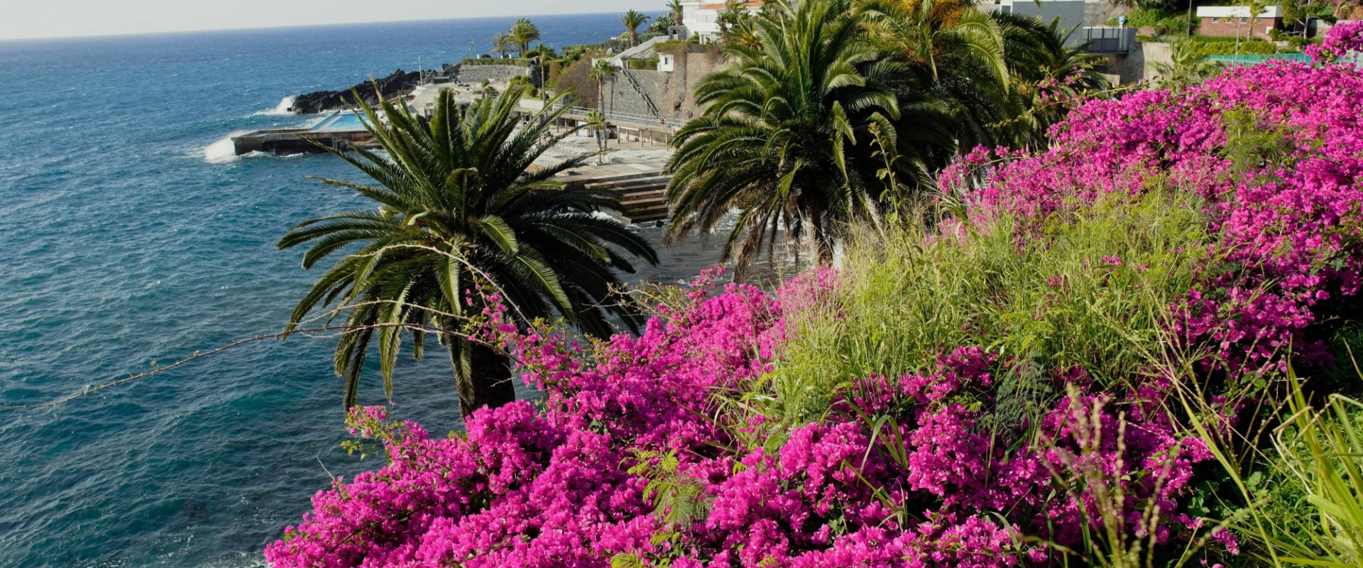 Madeira - bloemeneiland