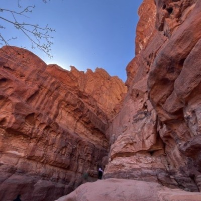 Jordanië - Wadi Rum