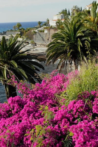 Madeira - bloemeneiland