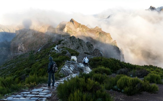 Pexels hikerwise 1054676139 27228674
