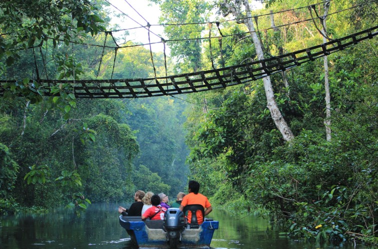 Kinabatangan River River Cruise 2