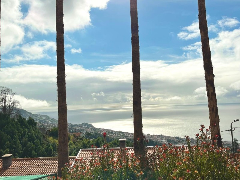 Uitzicht Madeira F2 U