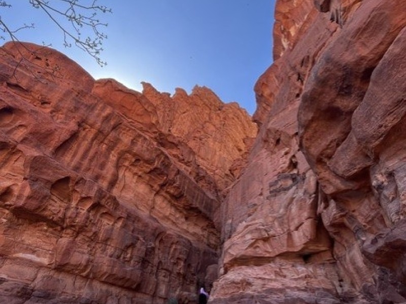 Jordanië - Wadi Rum