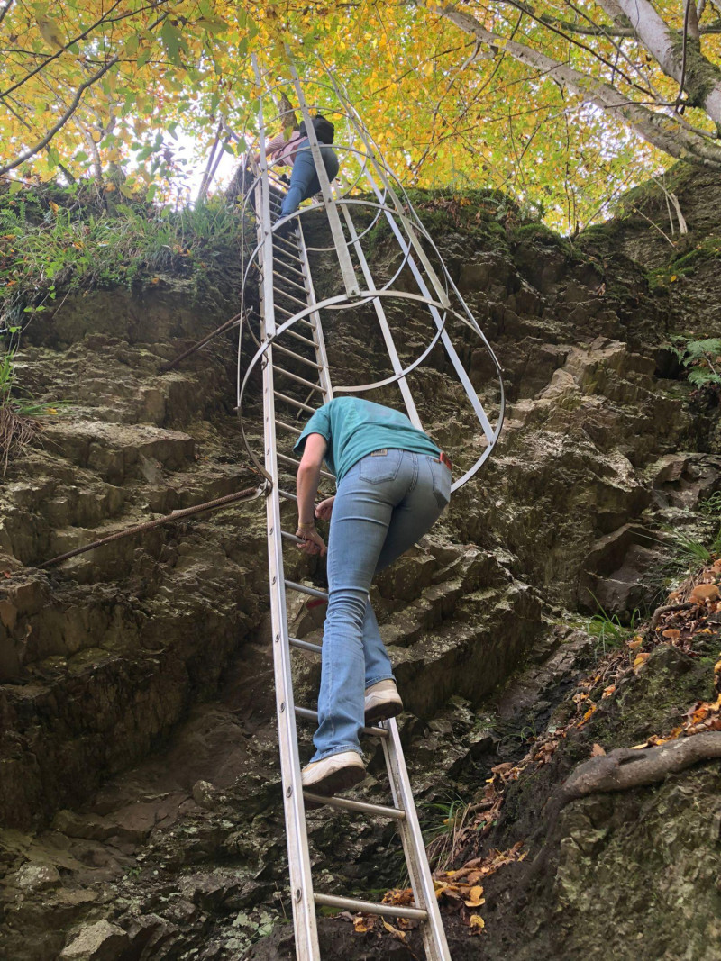 Ladder beklimmen Ardennen F2 U