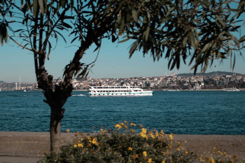 Bosporus - Bohemian Birds